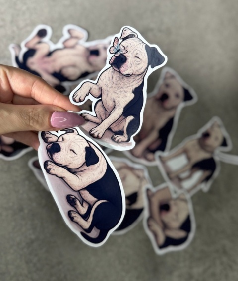 Personalizowane naklejki z twoim psem