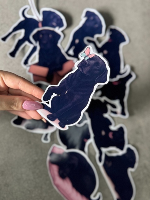 Personalizowane naklejki z twoim psem