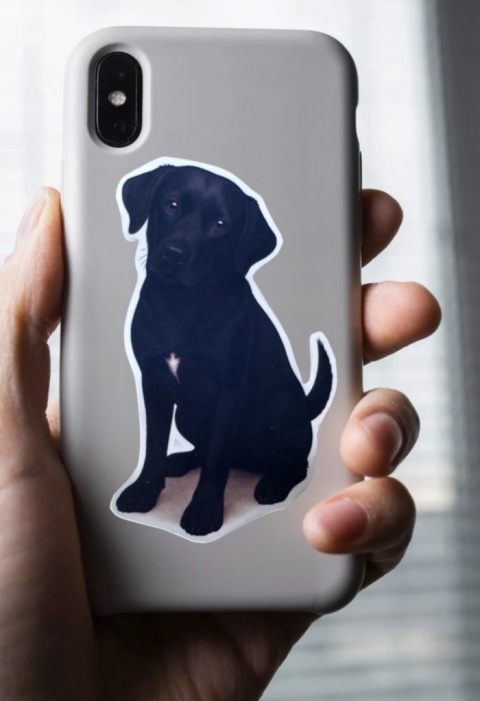 Personalizowane naklejki z twoim psem